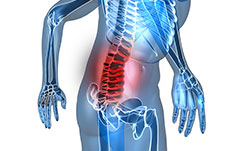 Chronic Back Pain back pain in the lower back